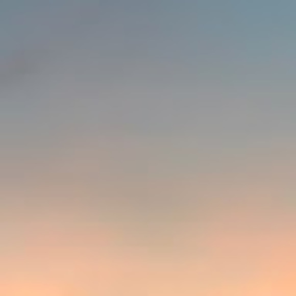 Meet your Posher, Anna - Picture 1 of 1